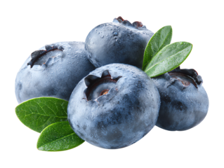 fresh blueberries isolated on white background
