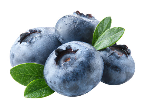 fresh blueberries isolated on white background - Powered by Adobe