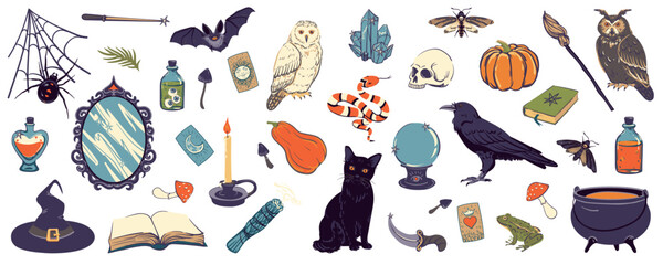 Vector big set with witch objects. Witchcraft concept, esoteric. Illustration with mirror, cauldron, skull, potion, raven, crystal, bat, black cat, candle, spider, web, ball of luck for Halloween.