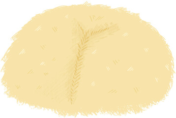 노루궁둥이 버섯