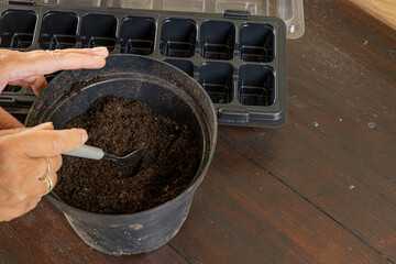 Plastic containers for molde seedlings plants, transplanting plants, plastic pots with soil,