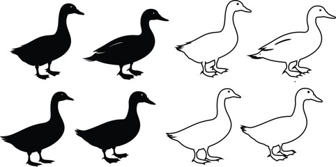 Collection of duck icons, silhouettes and outlines, vector isolated