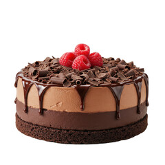 Decadent chocolate raspberry cake topped with fresh berries and chocolate shavings