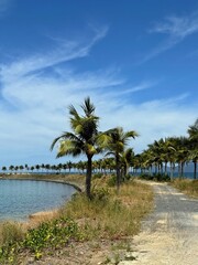 Naklejka premium Beautiful view of the sea. Turquoise ocean and palm trees, peninsula or rather a beautiful bay for mooring. Wild beach and palm leaves
