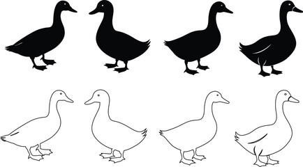 Duck vector bundle with silhouette and outline versions on white