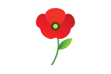 Obraz premium Poppy flower in botanical art style with gentle petal detail vector art illustration