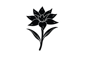 Tuberose flower with linear botanical detailing vector art illustration