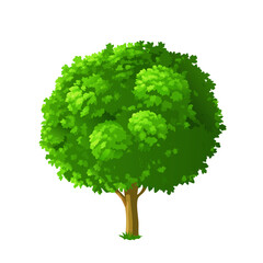 "Ultimate SVG Vector Design Bundle &ndash; Abstract, Geometric, Botanical, Mandala, Minimal, Vintage & Modern Elements for Cricut, Laser Cutting, Sublimation, and DIY Crafts"