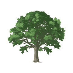 "Ultimate SVG Vector Design Bundle – Abstract, Geometric, Botanical, Mandala, Minimal, Vintage & Modern Elements for Cricut, Laser Cutting, Sublimation, and DIY Crafts"