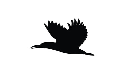 Flying Amazon kingfisher bird Silhouette Design  And Vector Illustration. 