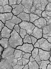 Cracked earth. Large deep chaotic cracks in ground. Natural phenomenon, disaster. Arid agricultural field, drought. Lifeless desert. Drought Concept: Dry Cracked Ground Texture, Climate Change. Summer