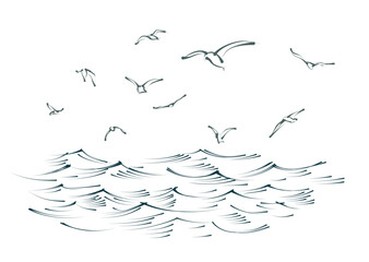 Flock of birds with blue sea.
