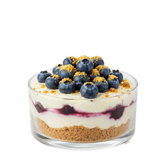 Delicious layered dessert with blueberries and creamy filling in a glass dish