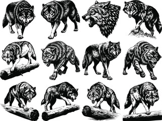 Black and white wolf vector illustrations.