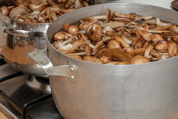 Delicious honey mushrooms in a ceramic plate . Honey fungus (Armillaria mellea) mushrooms in the bowl. Selective focus. Shallow depth of field.Mushrooms in a saucepan.
