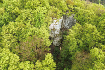 Rock face inside thick forest trees