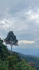 Obraz premium Mountain landscape with cloudy sky in the morning at Kaeng Krachan National Park, Phetchaburi, Thailand