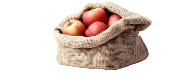 Freshly picked red apples overflowing from a rustic burlap sack on black backdrop