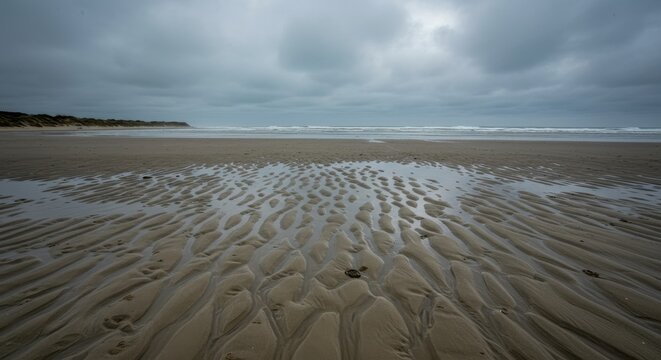 Coastal landscape with wet sand patterns under cloudy sky