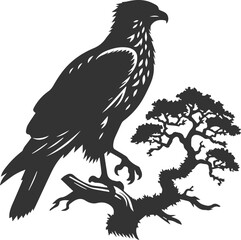 Hawk bird vector silhouette