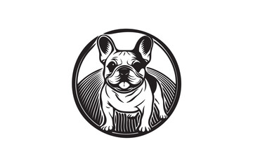 Black and White French Bulldog Illustration