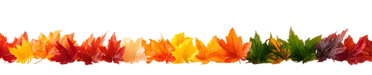 Colorful autumn leaves border against black background transitioning through fall shades