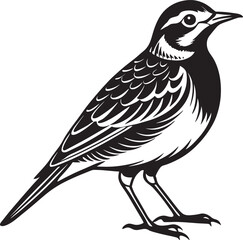 Obraz premium vector illustration of a bird