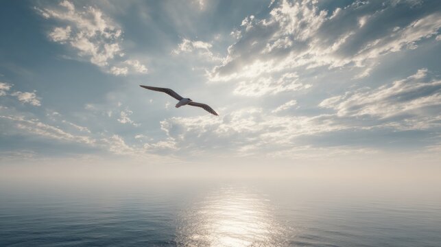Bird soaring above calm sea