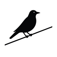 Bird on Wire Vector Illustration