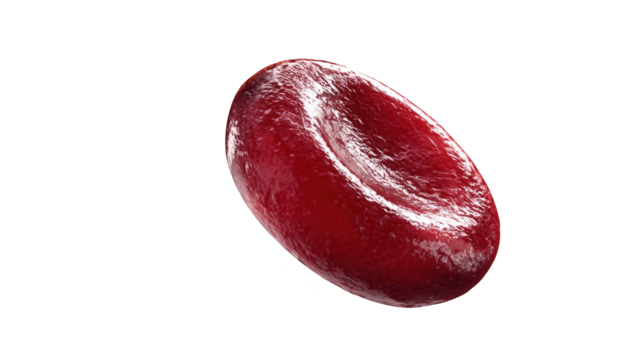 Detailed 3d render of a single human red blood cell microscopic view of a healthy erythrocyte medical science illustration red blood cell anatomy biology on transparent background