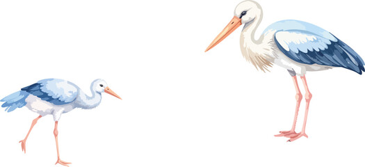 White stork with baby in nest, a beautiful wild bird in nature with red beak and black feathers