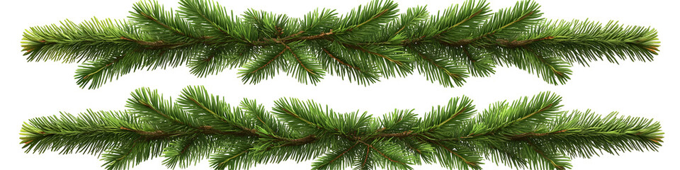 Fototapeta premium Festive evergreen pine branches on black background for holiday decoration use