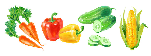 Acrylic gouache watercolor vegetables illustrations set. Corn, pepper, cucumber, carrot. Painted isolated superfood on transparent background