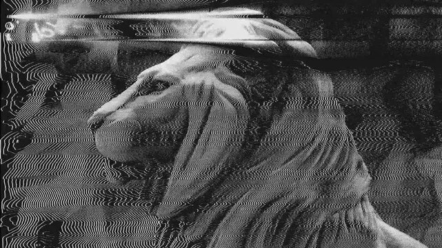 Close in on the head of a Lion with a distorted modulation effect.