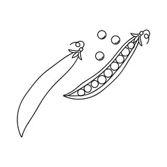Drawing of peas and pea pods with fish reflections on a white background showcasing detailed line art design