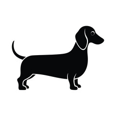Dachshund Waddling Black Vector Silhouette