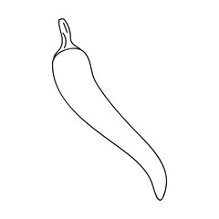 Illustration of a single chili pepper in a minimalist style on a plain background