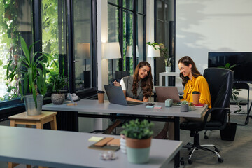 Gen z colleagues working together in modern office using laptops