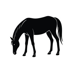 Horse Grazing Black Vector Silhouette