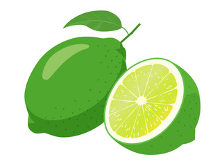 ライムのベクターイラスト