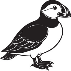 bird on a white background