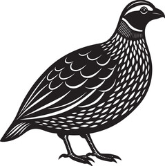 Fototapeta premium vector illustration of a bird