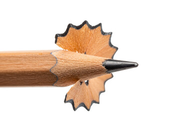 Isolated Sharpened Pencil with Shavings Macro Detail