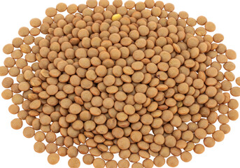 Isolated Heap of Brown Lentils, Natural and Rustic