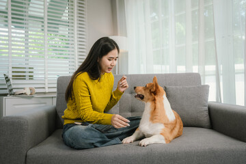 A young woman relaxes indoors on a cozy sofa, smiling as she bonds with her playful dog, enjoying peaceful companionship at home.