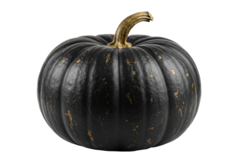 Isolated Black Pumpkin with Golden Flecks for Halloween