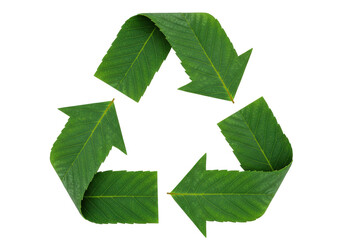 Isolated Recycle Symbol Composed of Green Leaves