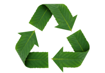 Isolated Recycle Symbol Composed of Green Leaves