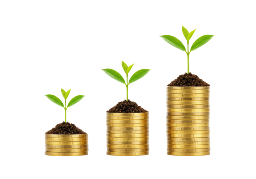 Isolated Seedlings Growing from Stacks of Coins Showing Financial Growth