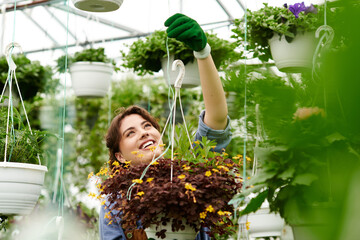 Gardener tending to hanging plants in a sunlit greenhouse with joy and passion